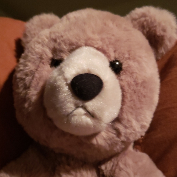 Meet your Posher, Jodie - Picture 1 of 2